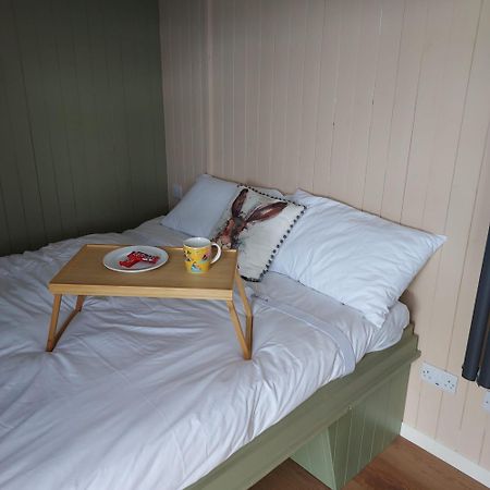 Bed and Breakfast Abbeyview House à Abbeyshrule Extérieur photo